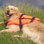 Hund mit orangefarbener Seilflechter Schwimmweste (8-15 kg) im Gras.