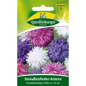 Quedlinburger Straussenfederaster Mischung: Blumensamen mit farbenprächtigen, gefüllten Blüten in Lila, Rosa und Weiß.