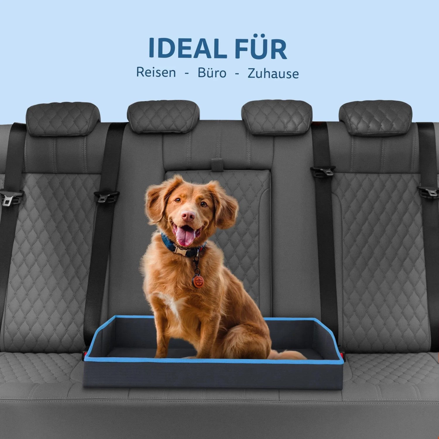 Blaues, faltbares Bestlivings Haustierbett (80x60cm) mit Hund im Auto.