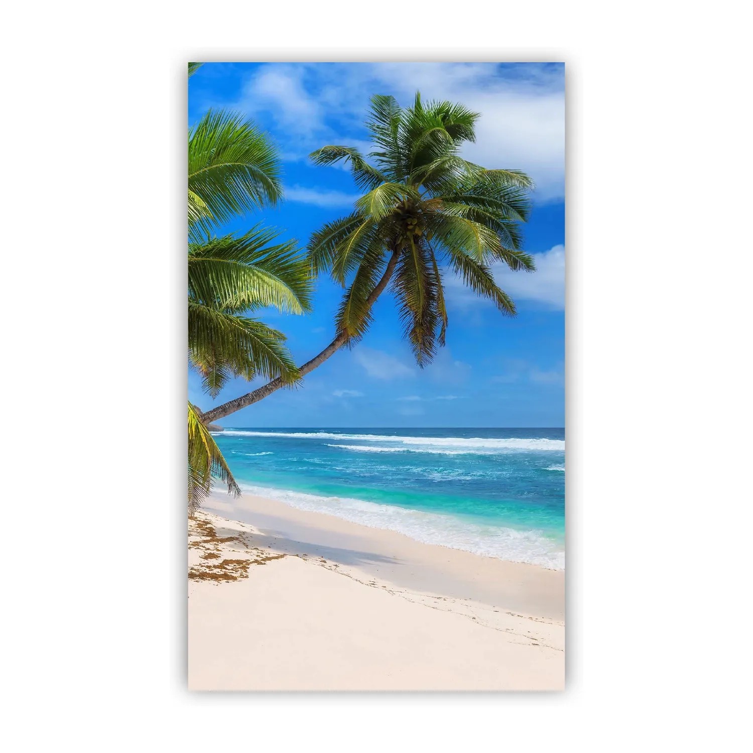Walllux Duschrückwand Paradies Strand Alu-Verbund 3 mm 125 x 210 cm