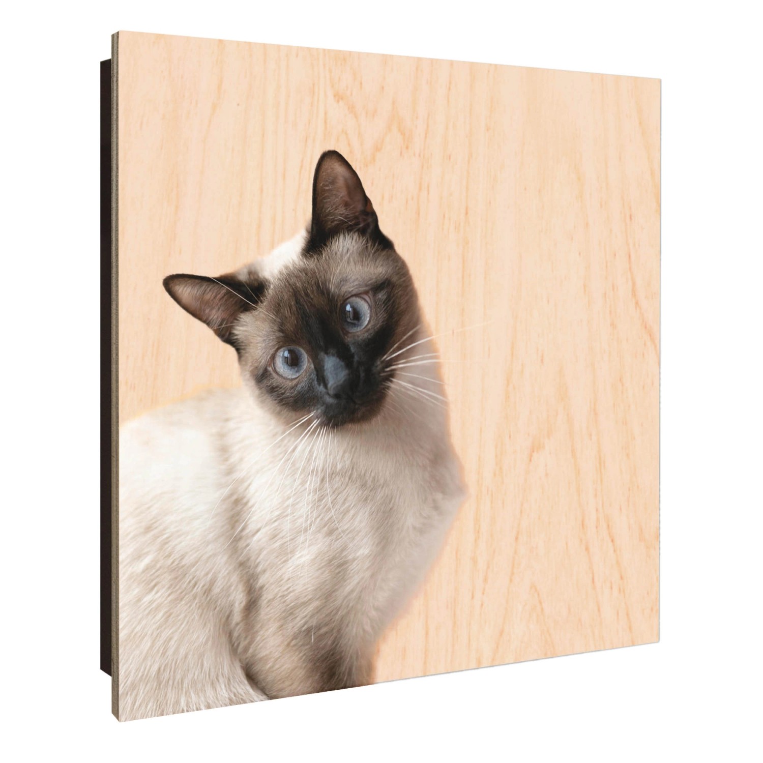 Banjado Großer Schlüsselkasten Holz 30x30cm Schwarz Scharnier Links 50 Hake günstig online kaufen
