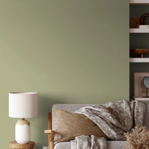 Wohnraum mit Wand in V&CO Premium-Innenfarbe Grün (Weidenbaum).