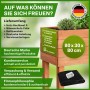 Braunes TTL GARDEN Hochbeet S 80x30x80 cm aus Tannenholz mit Ablagefach für Balkon und Terrasse.