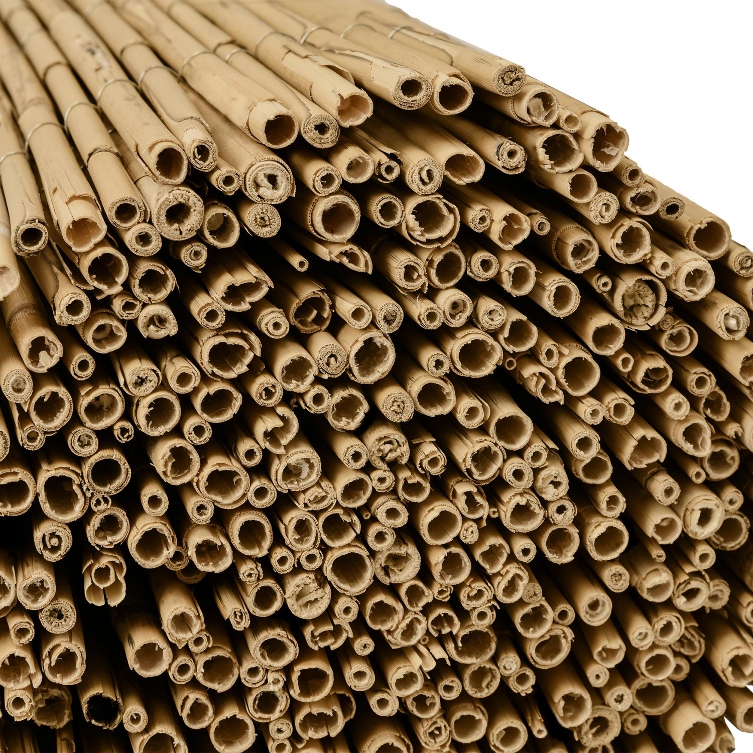 Detailaufnahme: Sol Royal Schilf Sichtschutzzaun, naturbelassen, für Garten & Balkon.