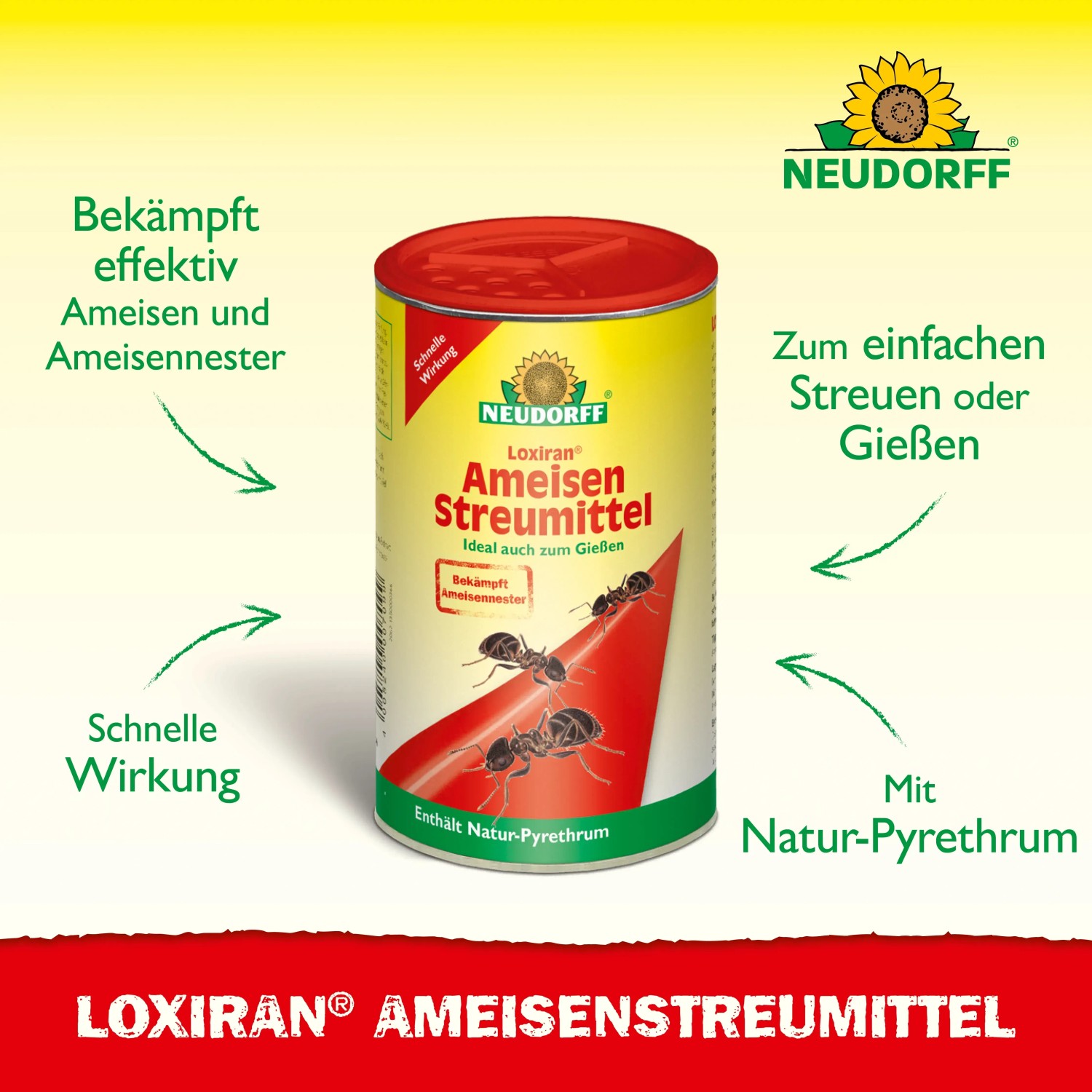 Dose Neudorff Loxiran Ameisen Streumittel 250g zur Ameisenbekämpfung durch Streuen oder Gießen.