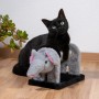 Schwarze Katze auf Dobar Kratzbaum-Set (Elefant). Kratzmöbel aus Sisal und Plüsch für Katzen.