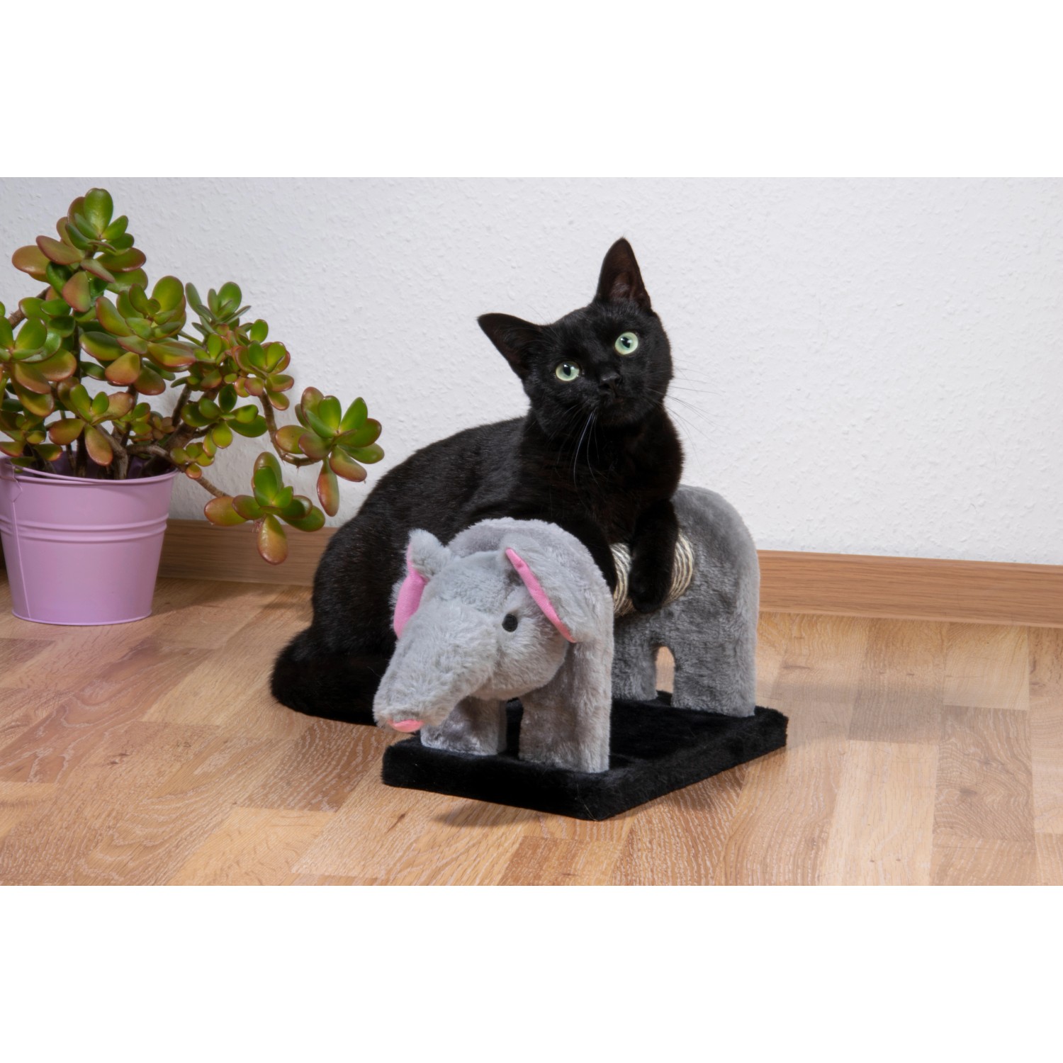 Schwarze Katze auf Dobar Kratzbaum-Set (Elefant). Kratzmöbel aus Sisal und Plüsch für Katzen.