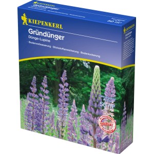 Kiepenkerl Gründünger Düngelupine 1 kg Packung mit blühenden Lupinen.