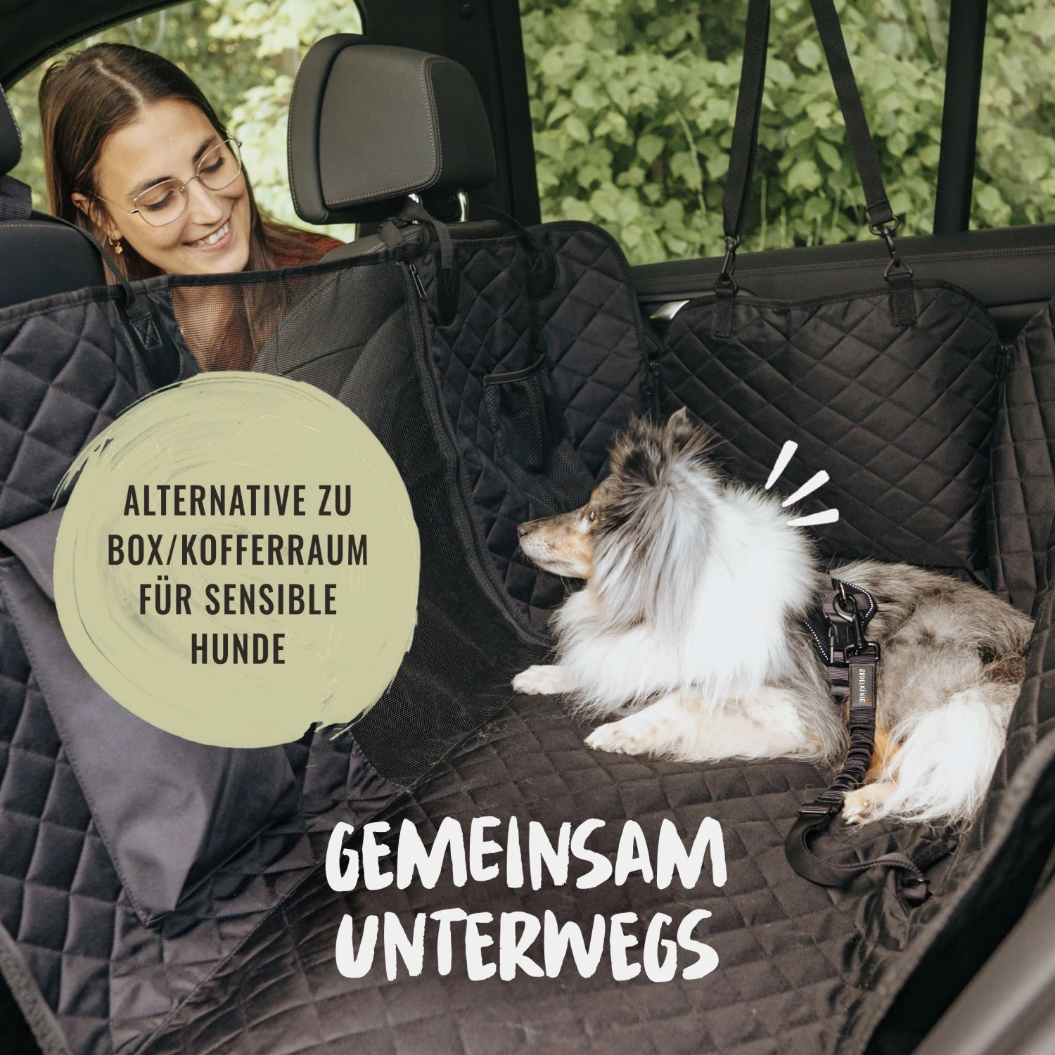 Schwarzer Rudelkönig Anschnallgurt für Hunde im Auto. Hund liegt gesichert auf Rückbank mit Geschirr.