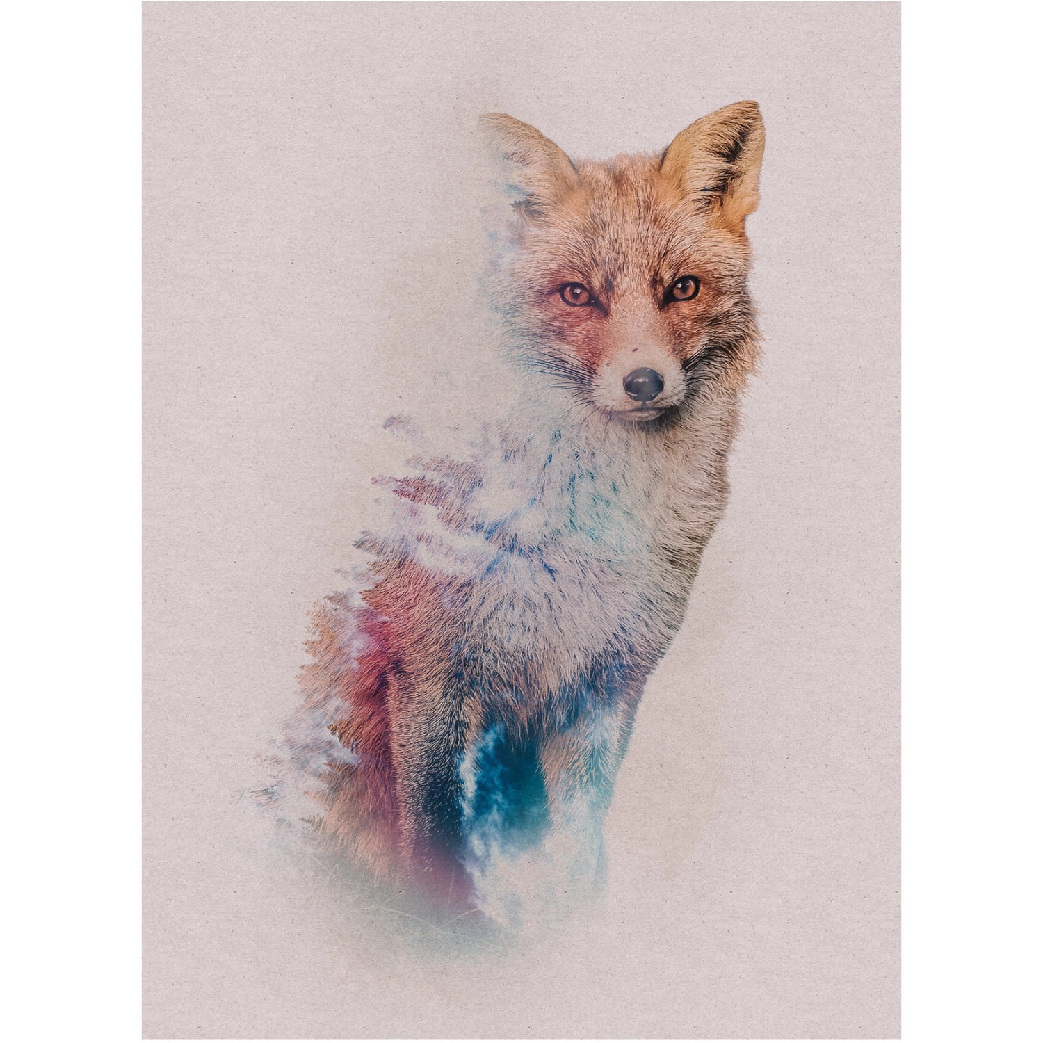 Komar Wandbild Animals Fox 30 x 40 cm