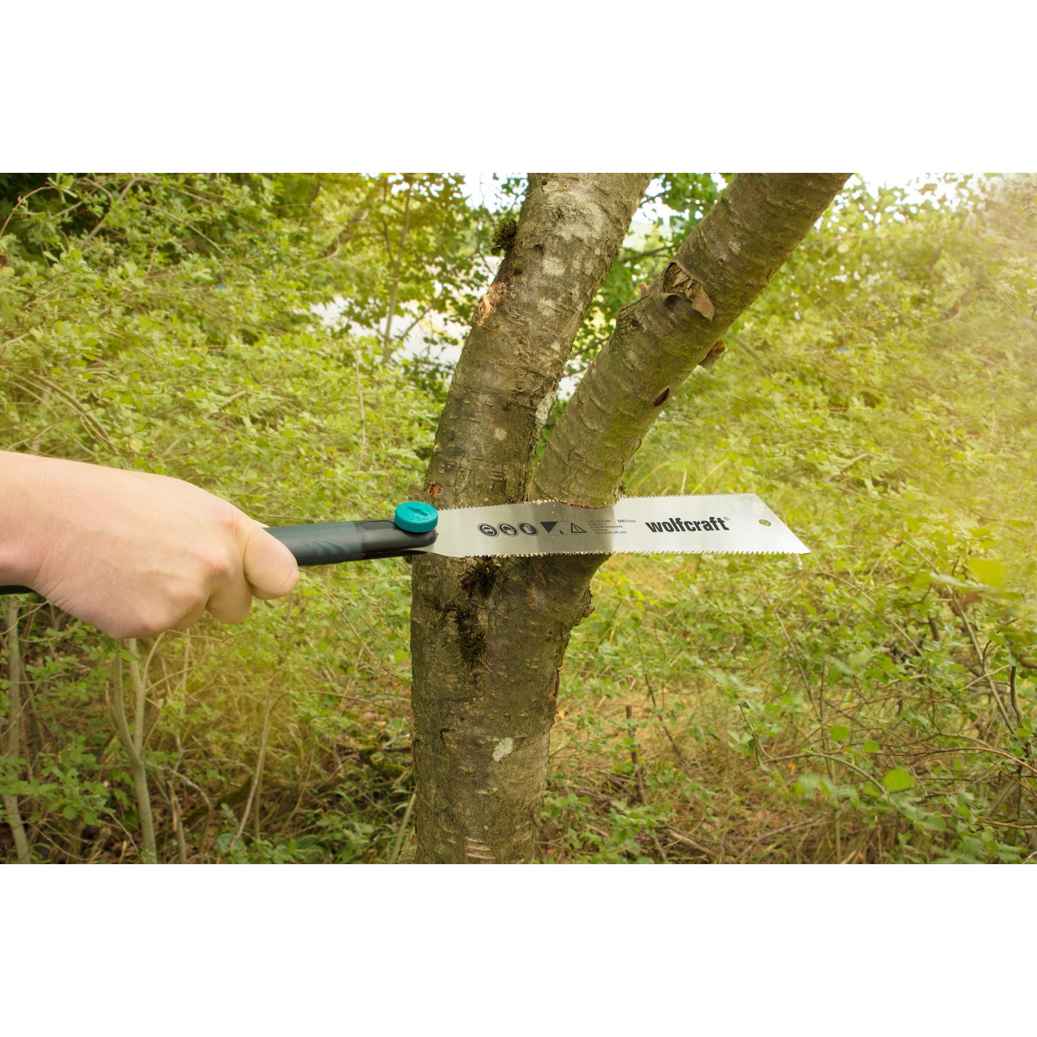 Wolfcraft Japansäge (240 mm) im Einsatz beim Sägen eines Astes.