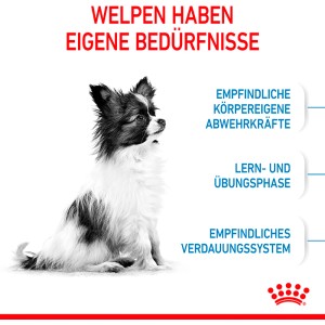 Kleiner, sitzender Welpe. Royal Canin X-Small Puppy Trockenfutter für sehr kleine Hunderassen.