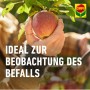 Hand hält Apfel, Compo BIO Universal-Trichterfalle zur Befallskontrolle.
