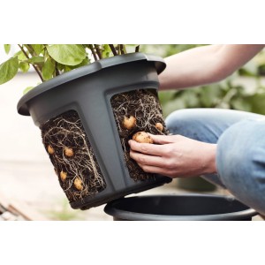 Schwarzer Elho Kartoffeltopf Green Basics Living (Ø 32,3 cm) mit Kartoffeln und Wurzeln.