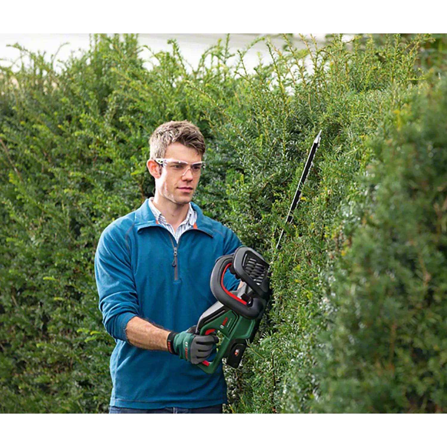 Mann schneidet Hecke mit Bosch Akku-Heckenschere UniversalHedgeCut 18-55. Heckenschneider im Einsatz.