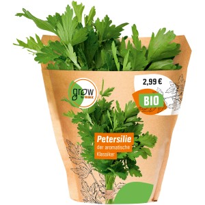Frische, grüne Grow by OBI Petersilie im Topf (Ø 13cm).