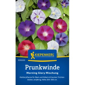 Kiepenkerl Prunkwinde Morning Glory Mix mit bunten Blüten.