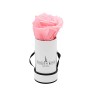 Rosenbox mit rosa Rose in weiß-schwarzer Box (Ø 5cm).