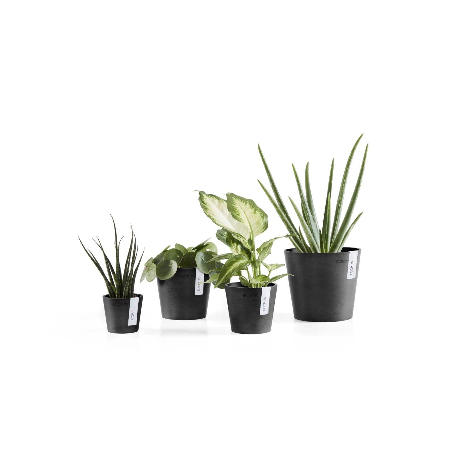 Ecopots Amsterdam Mini Pflanztöpfe, dunkelgrau, 4 Größen mit Pflanzen.