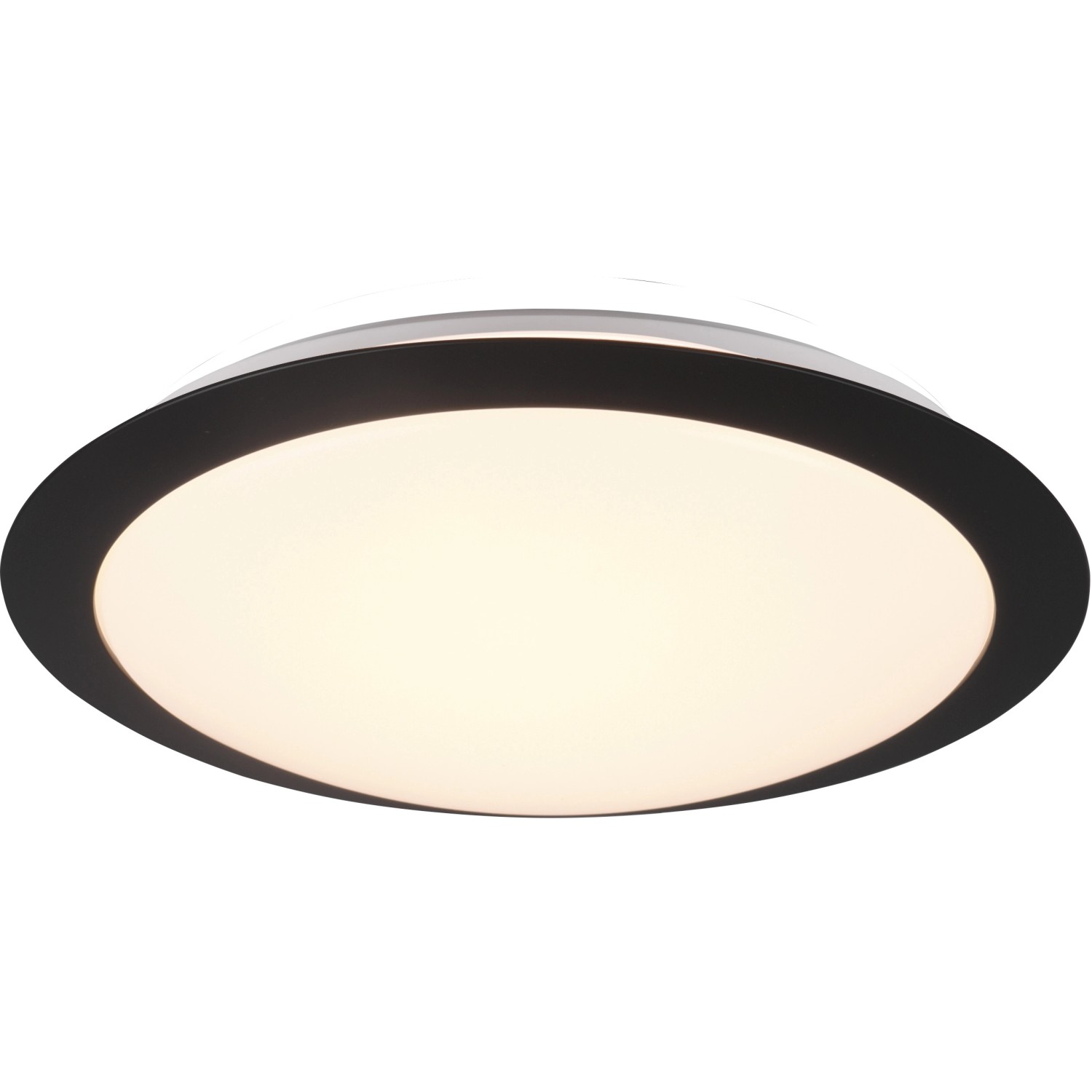 Trio LED-Deckenleuchte Umberto 80 mm x 290 mm x 290 mm Schwarz Matt günstig online kaufen