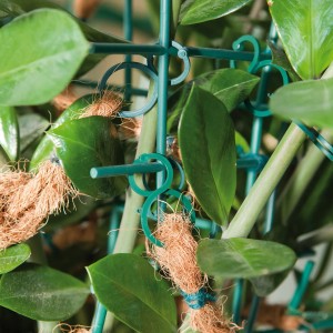 Grüne Windhager Ringbinder in zwei Größen zur Pflanzenbefestigung im Hochbeet.