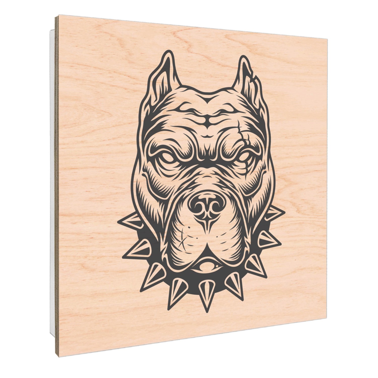 Weißer Banjado Schlüsselkasten mit Pitbull Motiv, 30x30cm, 50 Haken zur Schlüsselaufbewahrung.