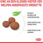 Royal Canin Medium Puppy Trockenfutter: Drei Kroketten, angepasst an Welpenkiefer.