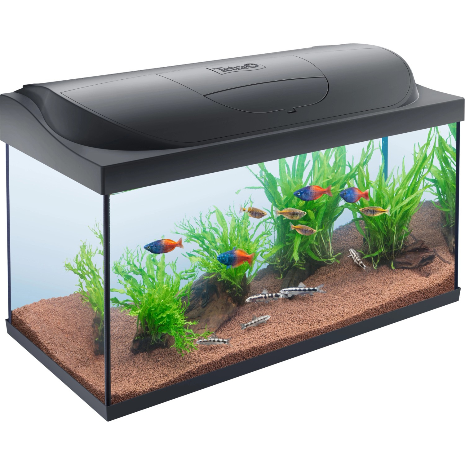 Buy Tetra Starter Line 105L LED Fish Tank, Fish tanks and stands