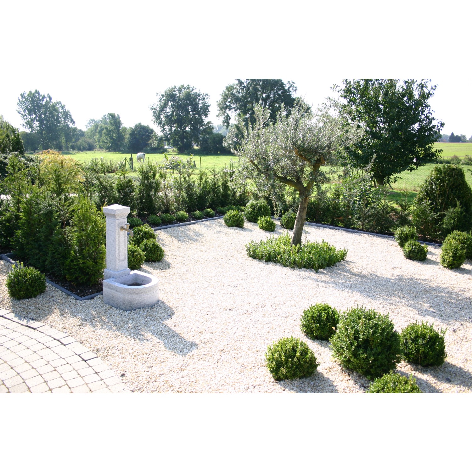 Garten mit hellem Quarzkies (8-16 mm) als Zierkies, Brunnen und Bepflanzung.