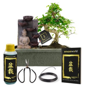 Vdvelde Bonsai Baum S Form   Buddha Wasserfall   Inkl Schere Und Nahrung