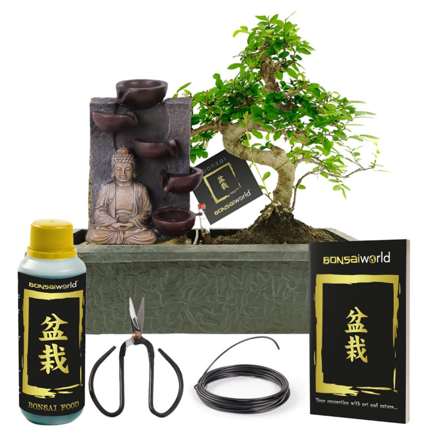 Vdvelde Bonsai Baum S Form Buddha Wasserfall Inkl Schere Und Nahrung