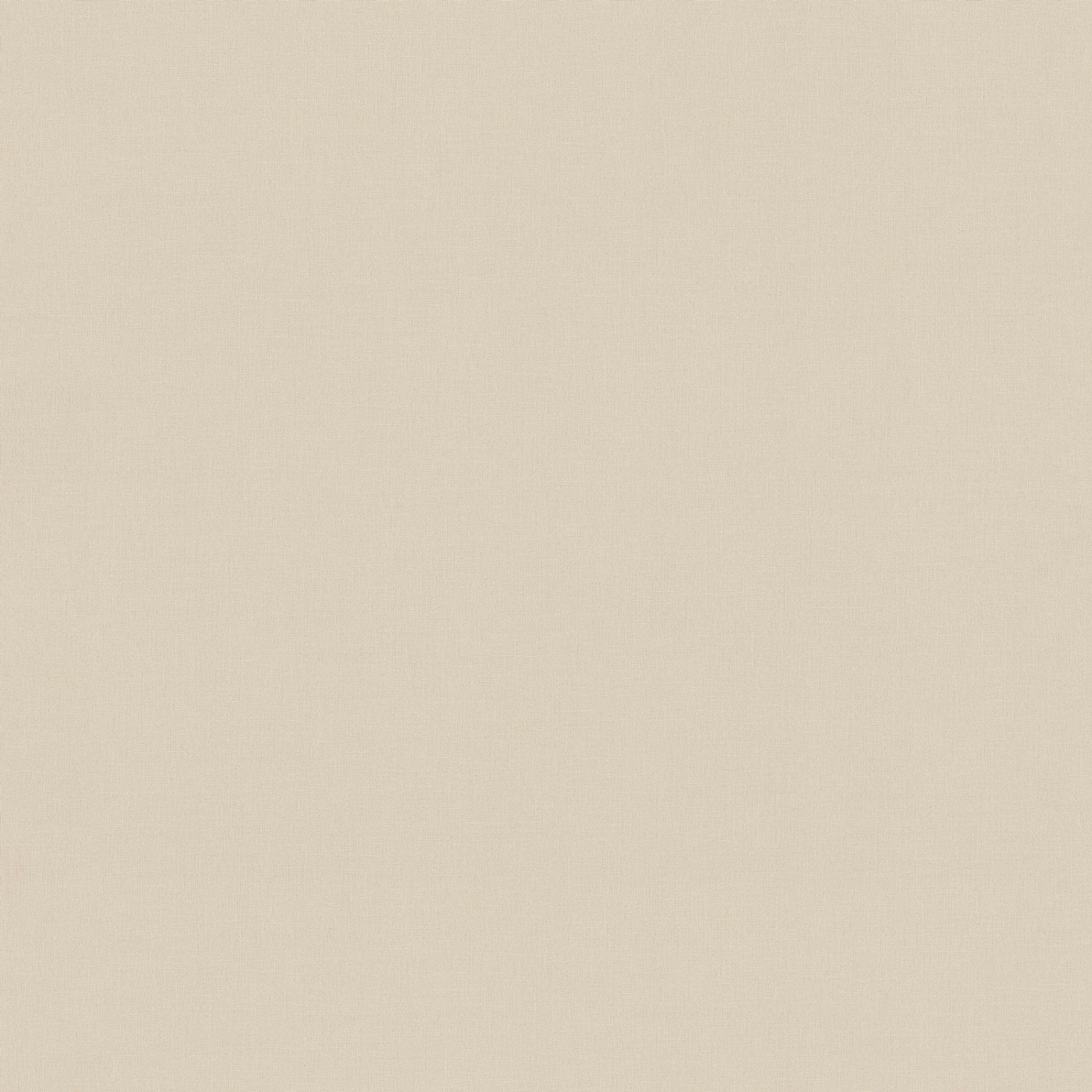 Bricoflor Skandinavische Tapete in Beige Nordische Vliestapete im Dezenten Stil für Wohnzimmer und Schlafzimmer Schlichte Wandtapete Einfarbig