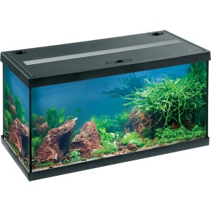 Eheim Aquastar LED Aquarium-Set, 54 l, schwarzer Rahmen, bepflanzt und dekoriert.