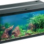 Eheim Aquastar LED Aquarium-Set, 54 l, schwarzer Rahmen, bepflanzt und dekoriert.