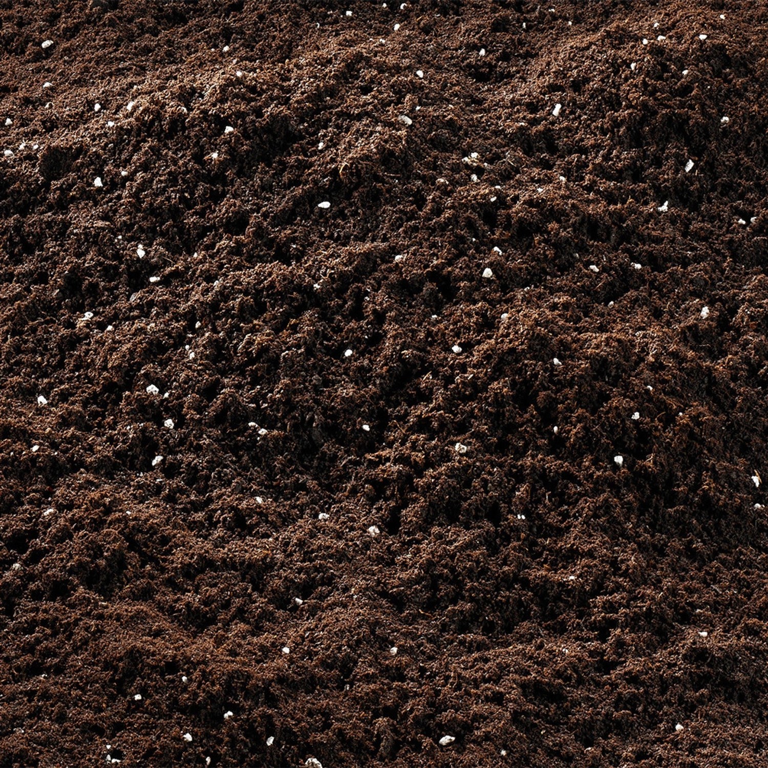 Nahaufnahme: Compo Sana Balkon- und Kübelpflanzenerde mit Perlit.