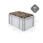 Eurobox NextGen Sitzbox Camouflage, 65 Liter, mit Griffen und Sitzkissen. Ideal als Transportbox.