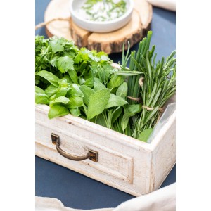 Naturfreund Kräuter-Mix im Wandhänger: Basilikum, Salbei, Rosmarin und Schnittlauch im Holzkasten.