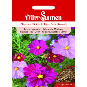Dürr Samen Cosmea Prachtmischung: Farbenfrohe, einjährige Blumensamen für Beet und Rabatte.