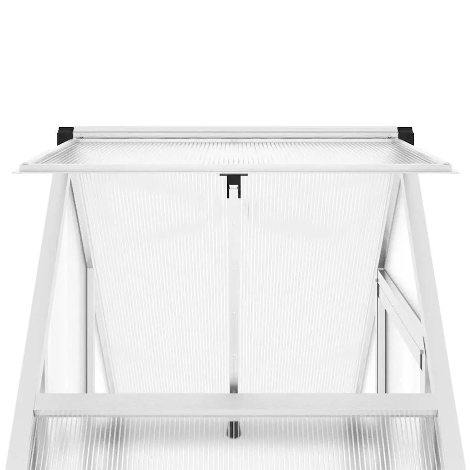 vidaXL Gewächshaus mit Fundamentrahmen Silbern 169x58x195cm Aluminimum 4005816_9