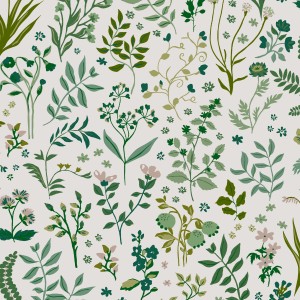 Joules Vliestapete Holcombe Floral, weiß-grünes Blumenmuster für Wandgestaltung.