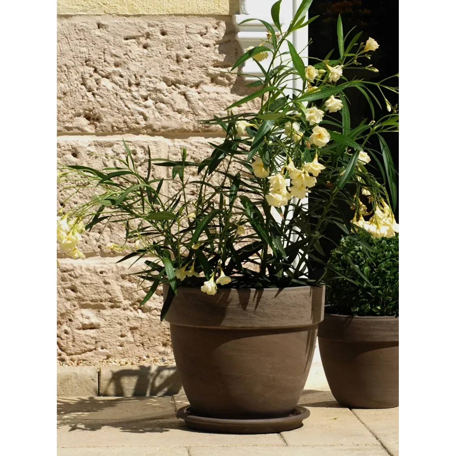 Basaltfarbener Pflanztopf Levante (Ø 35 cm) aus Terrakotta mit Pflanze auf Terrasse.