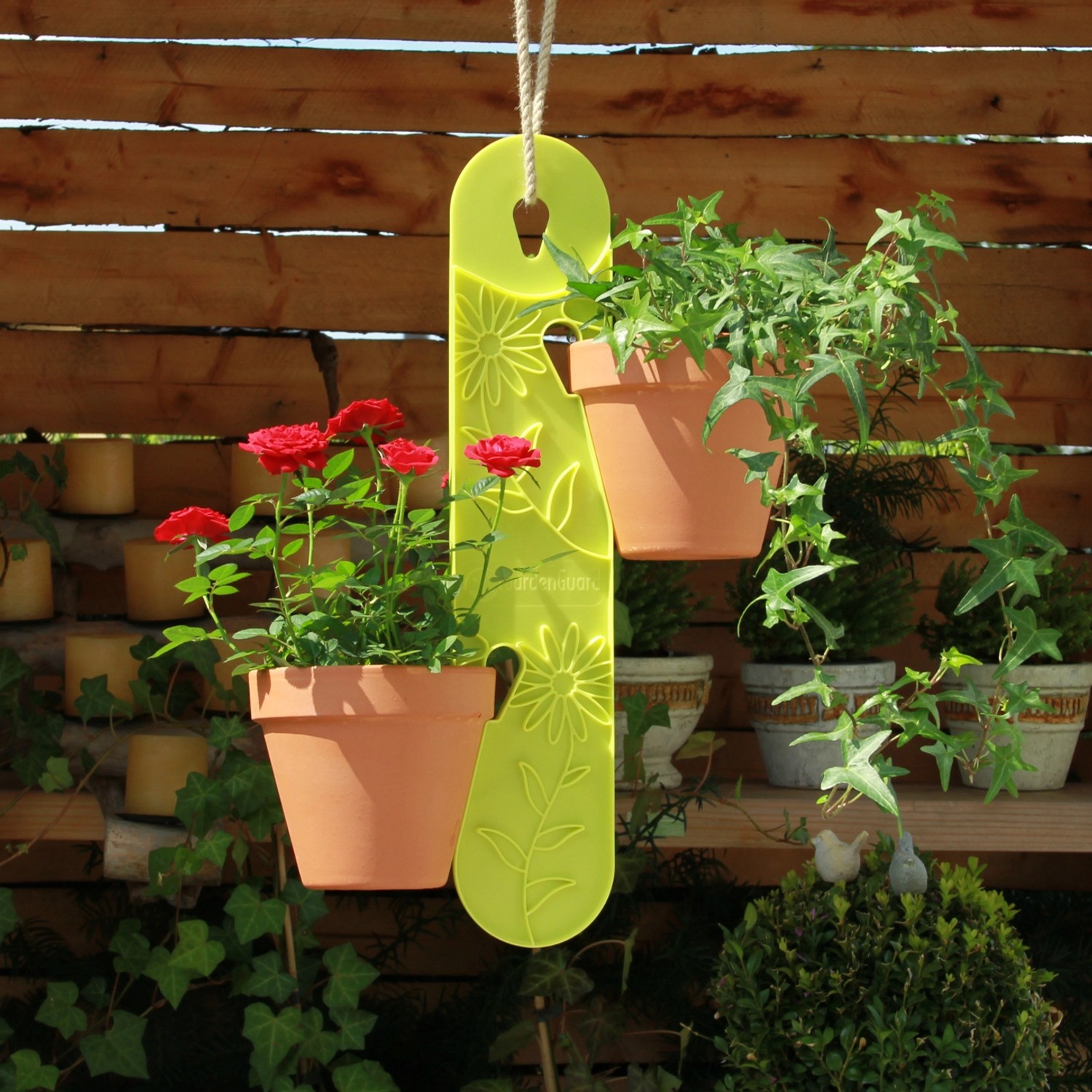 Gardenguard Blumenampel Grün 10 cm x 50 cm günstig online kaufen