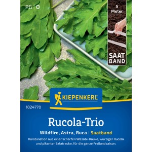 Kiepenkerl Rucola-Trio: Wildfire, Astra, Ruca Saatband mit frischen Rucolablättern.