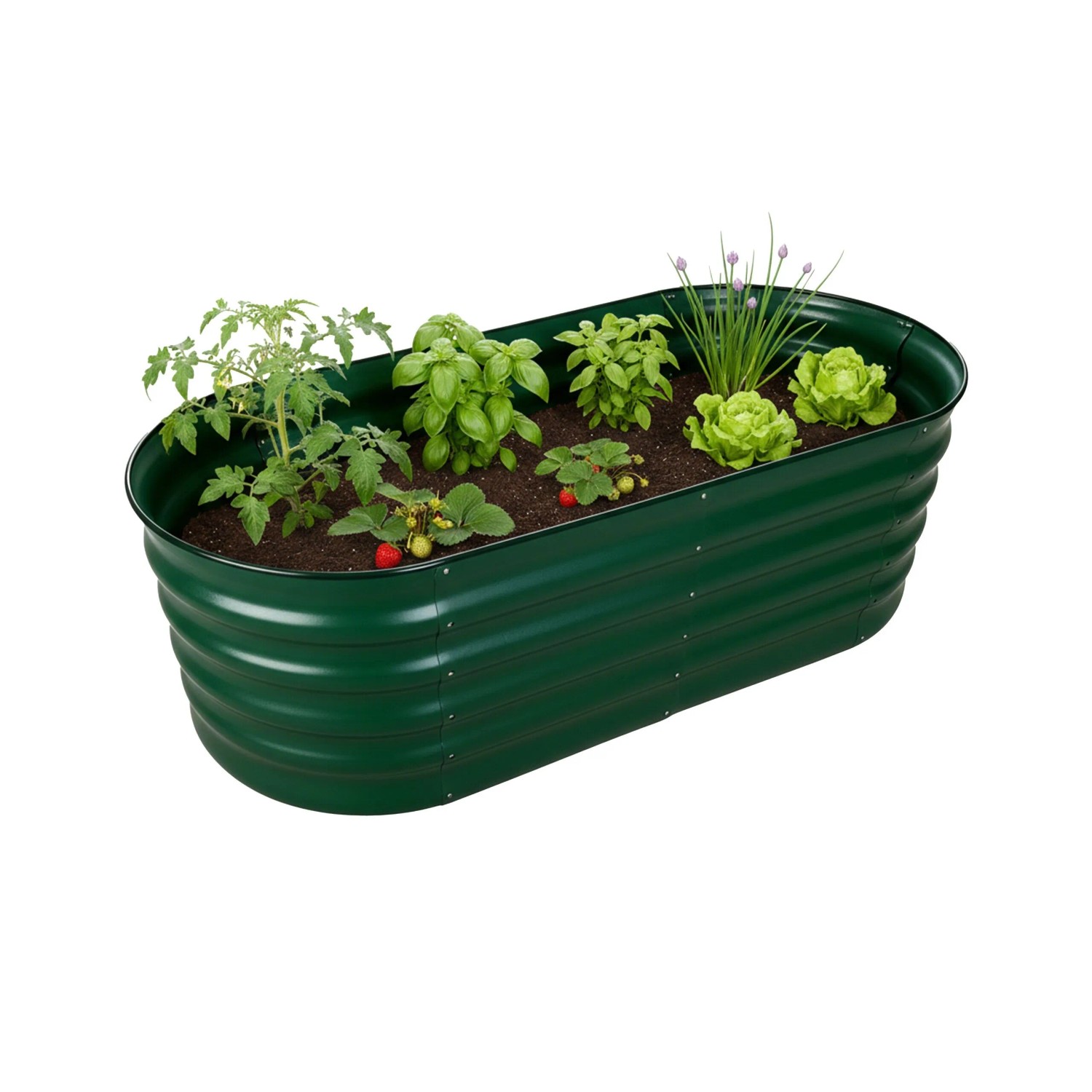 Relaxdays Hochbeet Halbrund Metall Grün Bodenfrei 45 cm x 150 cm x 60 cm 9,3 kg
