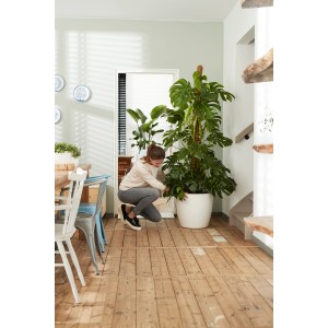 Frau gießt Pflanze im weißen Elho Blumentopf Brussels Rund Ø 47 cm mit Rollen.