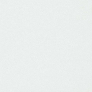 Weiße, glatte Bricoflor Renoviervlies Vliestapete (25m) zur Untergrundvorbereitung vor dem Tapezieren.