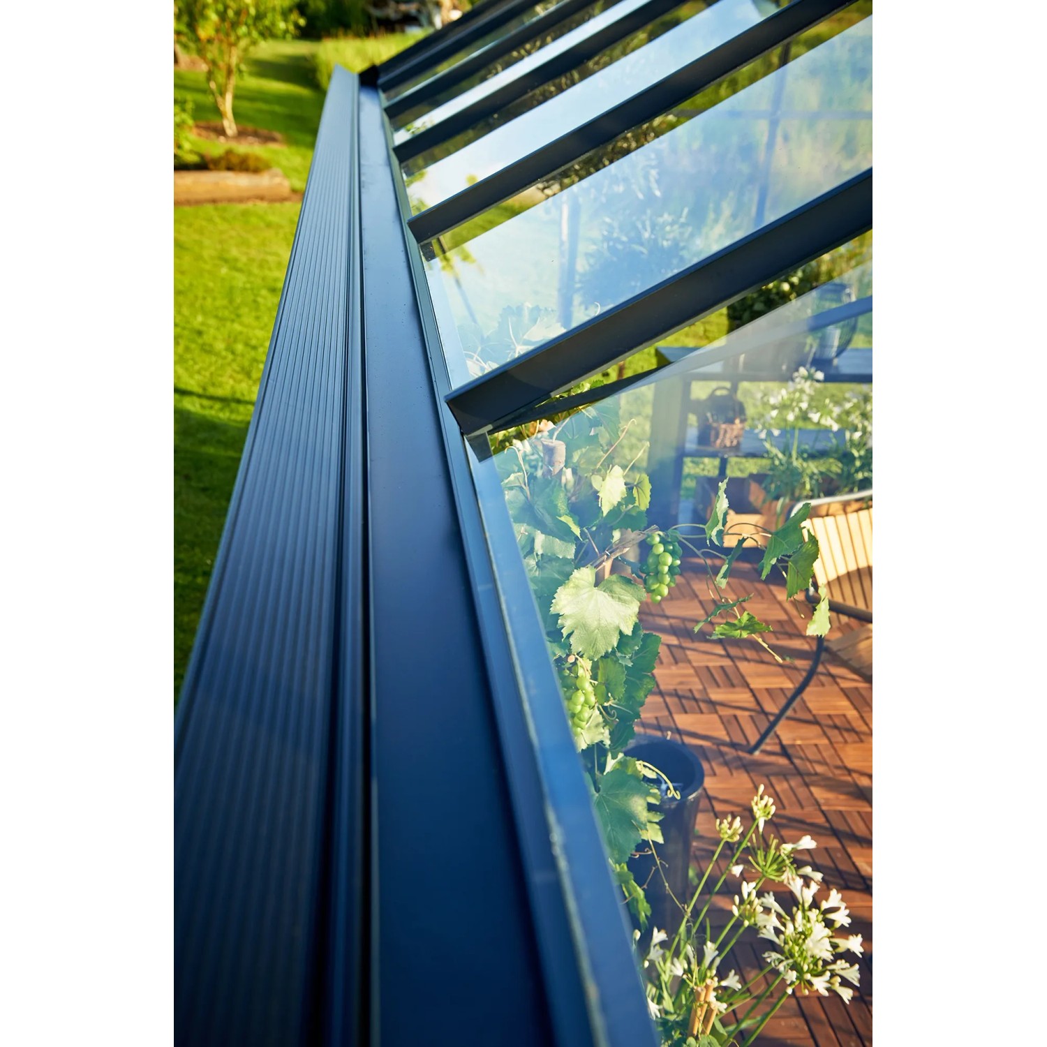 Detailaufnahme: Juliana Gewächshaus Premium 8, anthrazitfarbener Rahmen, Glas, Pflanzen im Inneren.