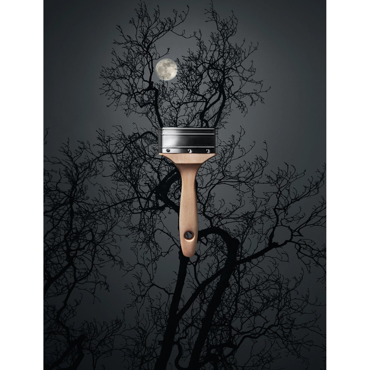 Schöner Wohnen Trendfarbe Luna, matte Wandfarbe mit Pinsel vor Baum und Mond.