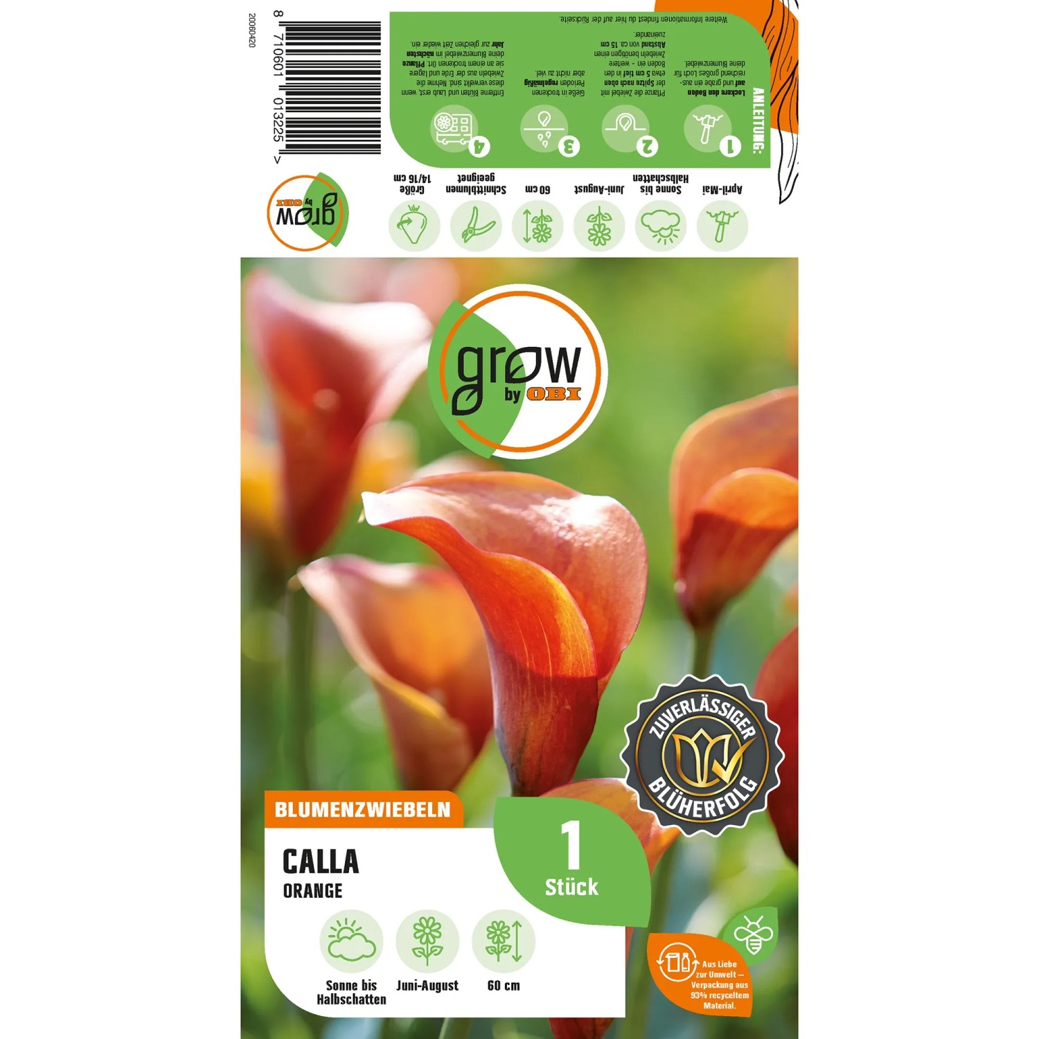 Orange Calla Zantedeschia Blumenzwiebel von GROW by OBI, ca. 60 cm hoch.