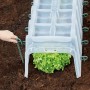 Garantia Pflanztunnel Sunny 3er-Set über Salat, fixiert mit Erdanker im Gartenboden.